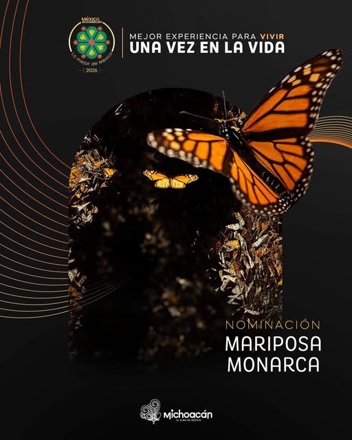 Imagen de noticia
