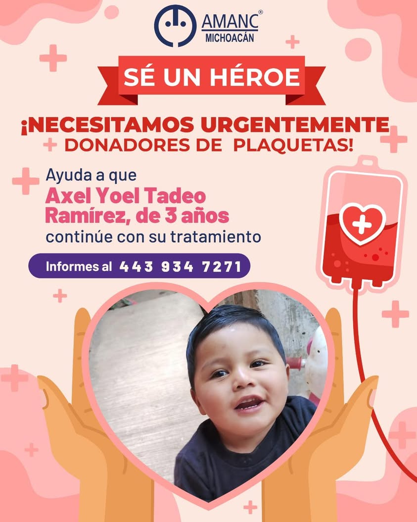 Imagen de noticia